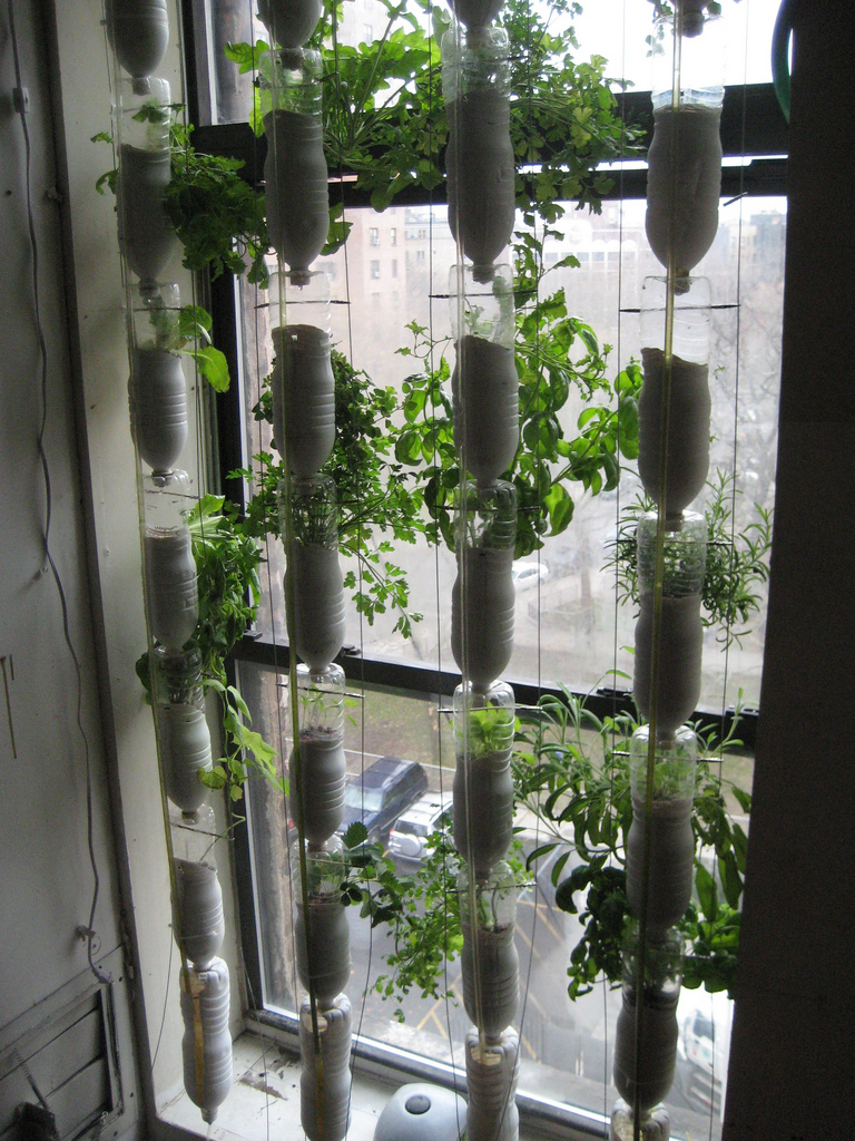 Window farms