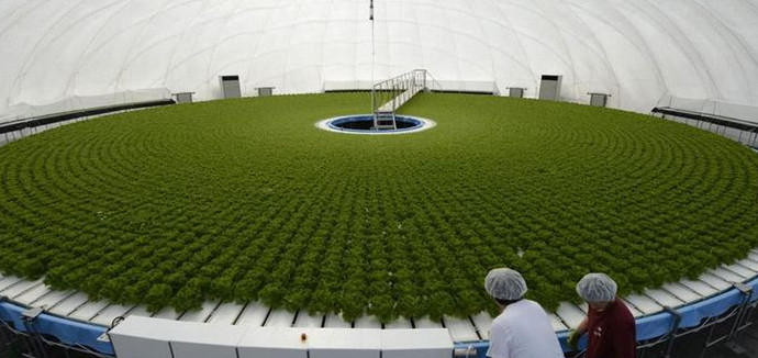 granpadome